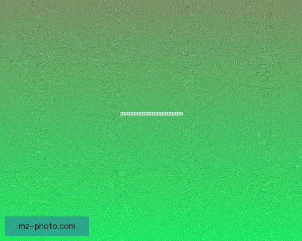 黑料不打烊：当八卦遇上智慧，一场信息狂欢的深度解读